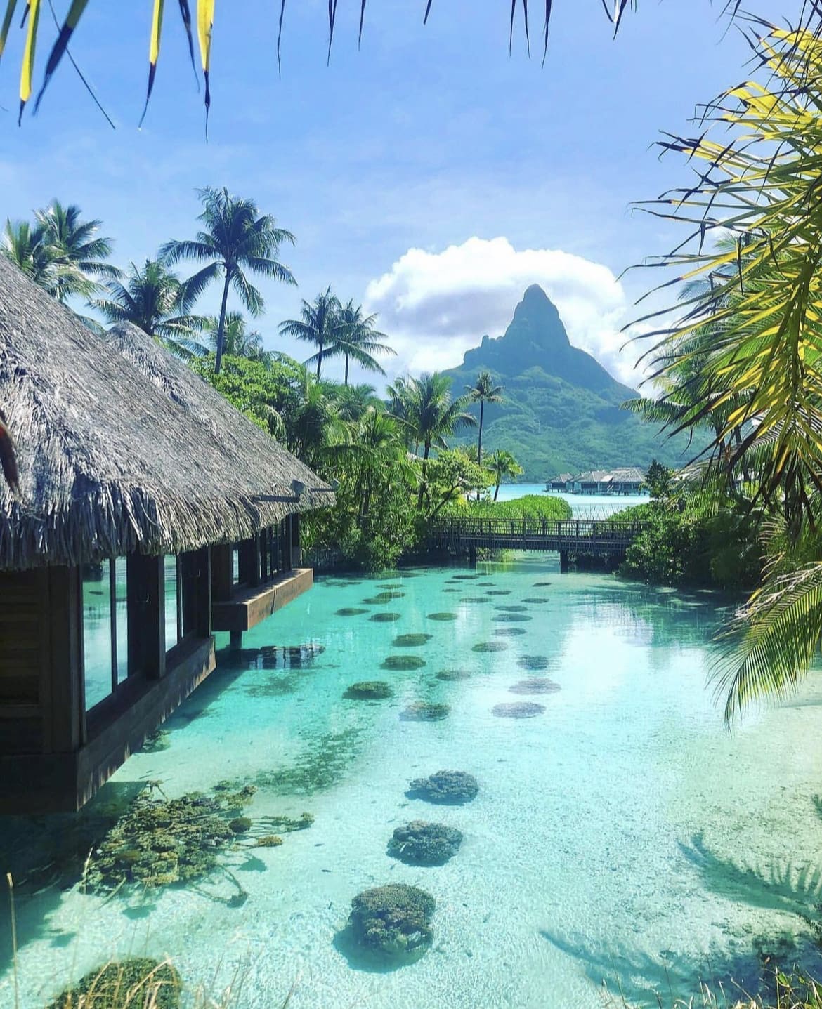 Overwater bungalows and crystal clear waters